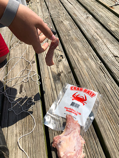 blue crab bait and line
